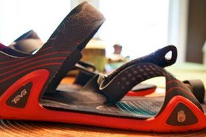 A Review of the Teva Zilch