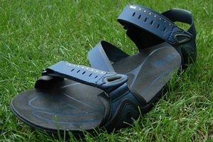 A Review of the Teva Northridge