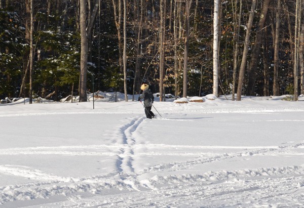 Play - In the snow