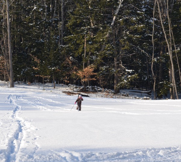 Play - In the snow