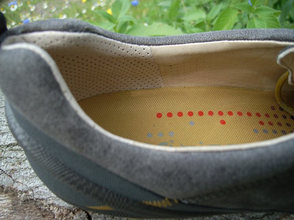 ecco biom insoles