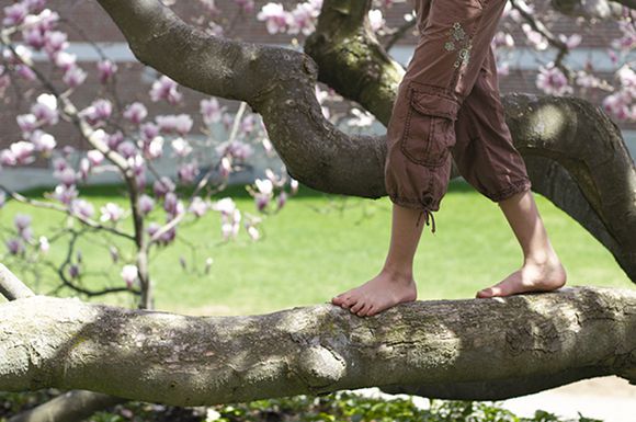 Barefoot on a tree