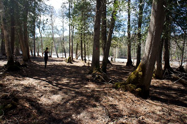 trail running